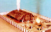 adar-23.jpg
