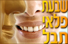 ���� ���� ���