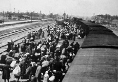 Arrival At Auschwitz