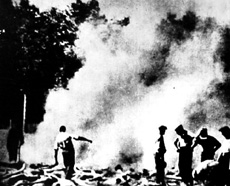 Burning Corpses