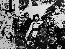 Partisans