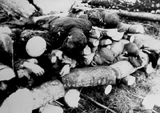 Destroying Evidence
