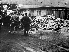At Dachau